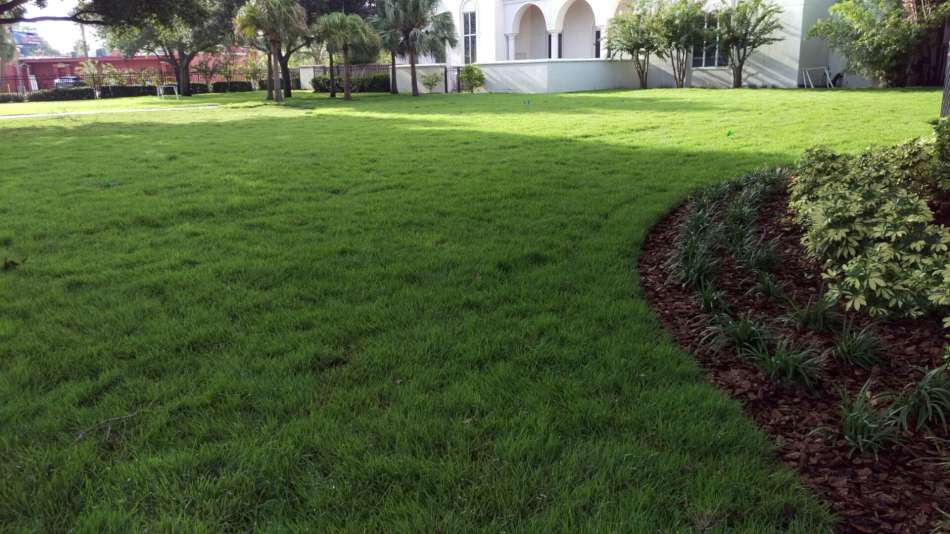 Tampa Bay South Shore Landscape and Lawn